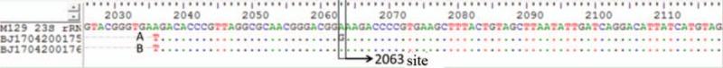 https://cdn.ncbi.nlm.nih.gov/pmc/blobs/1554/6635300/8db2f13128e9/medi-98-e16070-g002.jpg