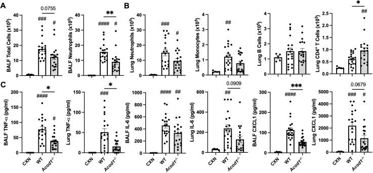 https://cdn.ncbi.nlm.nih.gov/pmc/blobs/1556/11439662/1435a9b72a5b/fimmu-15-1432334-g005.jpg