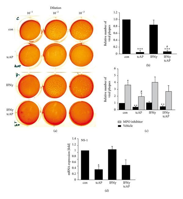 https://cdn.ncbi.nlm.nih.gov/pmc/blobs/1558/3793289/f293eed0f6ce/BMRI2013-879080.003.jpg