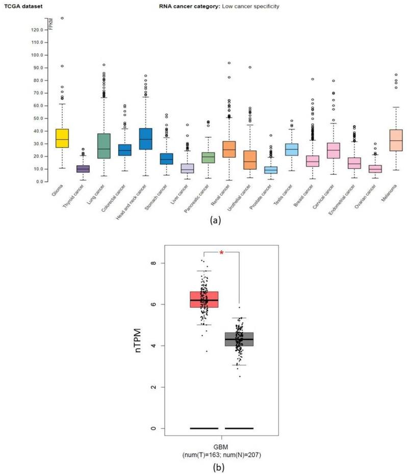 https://cdn.ncbi.nlm.nih.gov/pmc/blobs/1559/9844418/e5aca064abfa/ncrna-09-00004-g003.jpg