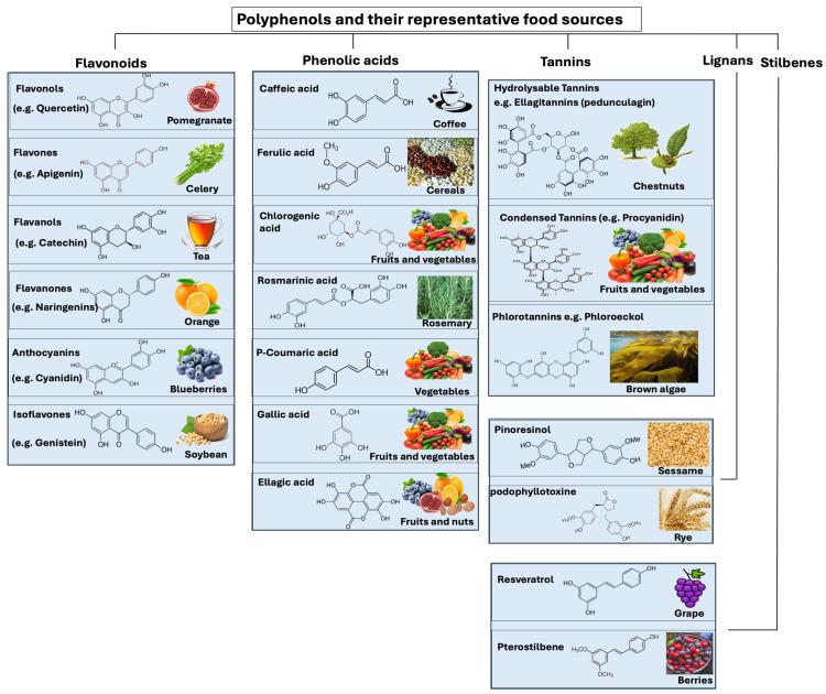 https://cdn.ncbi.nlm.nih.gov/pmc/blobs/155d/11356206/d5ecb1260126/microorganisms-12-01570-g003.jpg