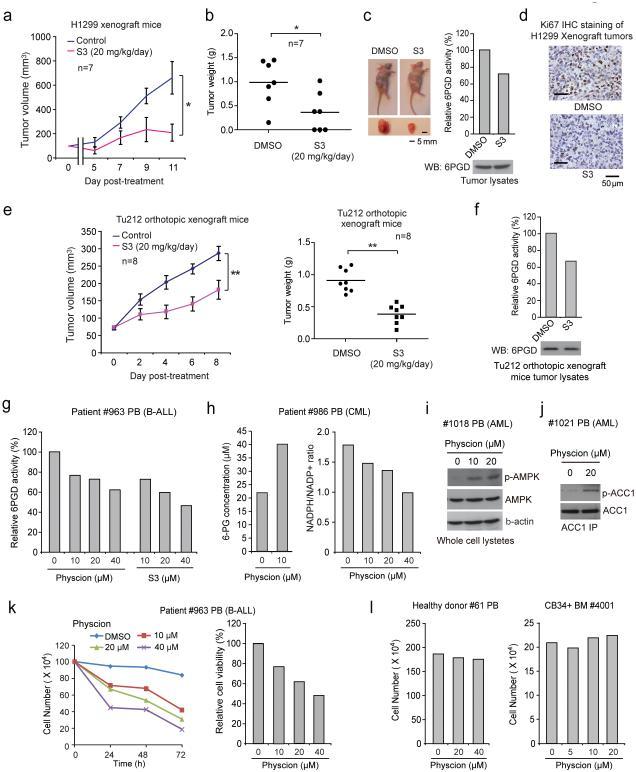 https://cdn.ncbi.nlm.nih.gov/pmc/blobs/155f/4628560/2611477269e0/nihms-724509-f0008.jpg