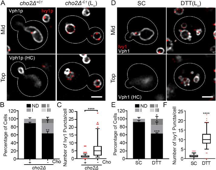 https://cdn.ncbi.nlm.nih.gov/pmc/blobs/155f/8694086/7cc957efbbbe/mbc-32-br12-g002.jpg