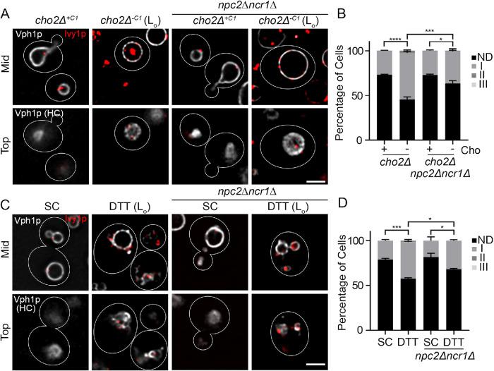 https://cdn.ncbi.nlm.nih.gov/pmc/blobs/155f/8694086/88855f784288/mbc-32-br12-g003.jpg
