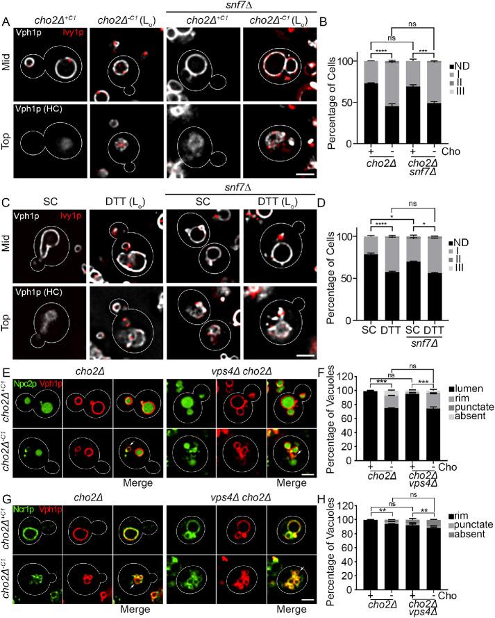 https://cdn.ncbi.nlm.nih.gov/pmc/blobs/155f/8694086/b4f801ae2235/mbc-32-br12-g004.jpg