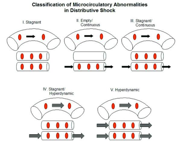 https://cdn.ncbi.nlm.nih.gov/pmc/blobs/1563/1750971/67a2cc560977/cc4969-2.jpg