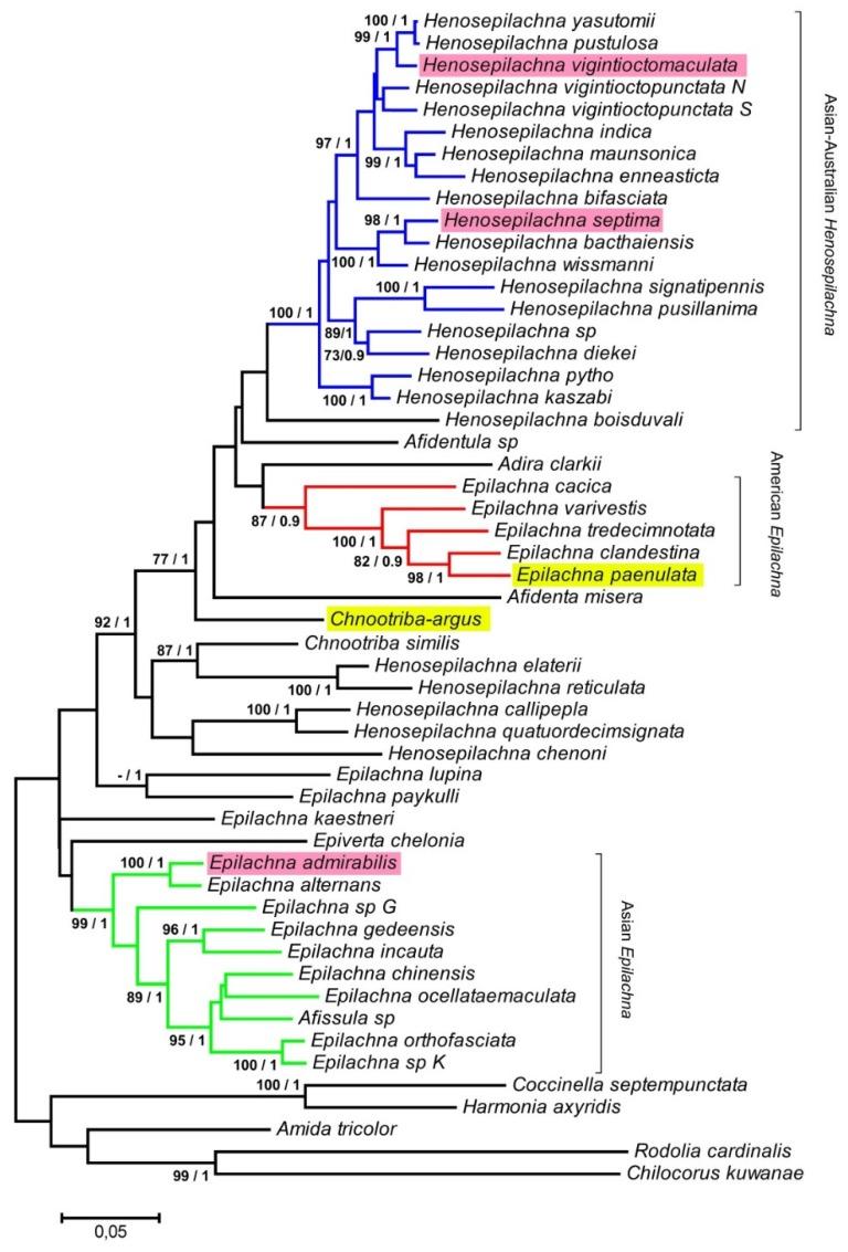 https://cdn.ncbi.nlm.nih.gov/pmc/blobs/1564/6780895/95665043195e/insects-10-00306-g003.jpg