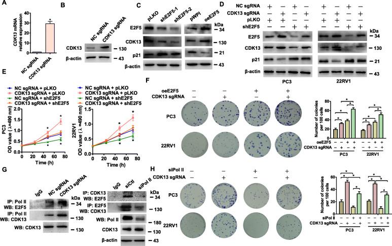 https://cdn.ncbi.nlm.nih.gov/pmc/blobs/1565/7780414/916b2dd71b30/13046_2020_1814_Fig3_HTML.jpg
