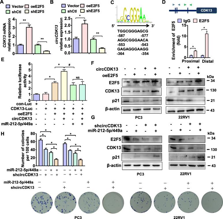 https://cdn.ncbi.nlm.nih.gov/pmc/blobs/1565/7780414/ab71437bbfcc/13046_2020_1814_Fig6_HTML.jpg