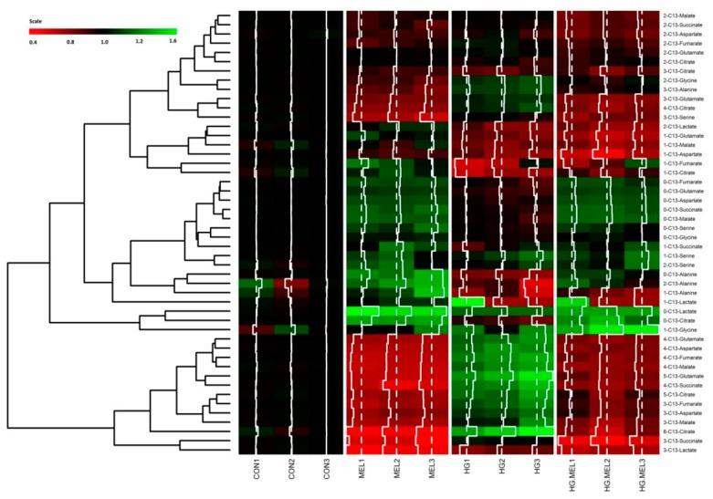 https://cdn.ncbi.nlm.nih.gov/pmc/blobs/1566/5578012/b89c8daf2a23/ijms-18-01620-g004.jpg