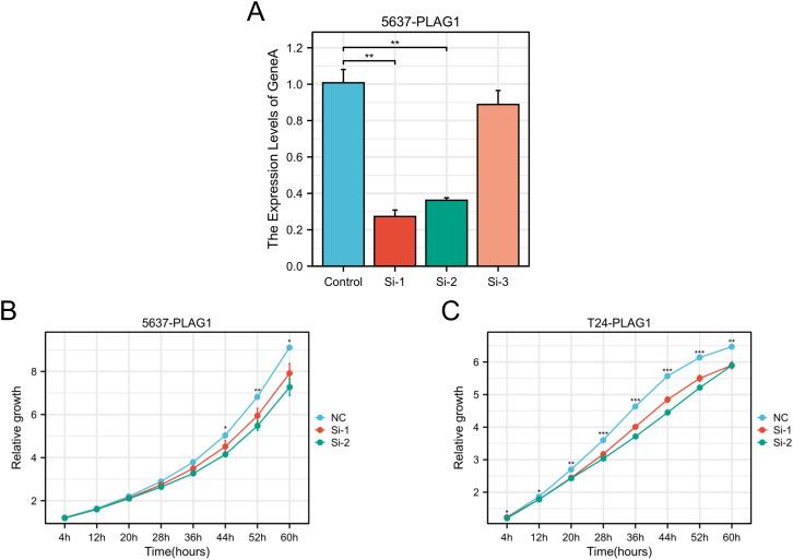 https://cdn.ncbi.nlm.nih.gov/pmc/blobs/1568/12018345/26590e37f164/fimmu-16-1572108-g010.jpg