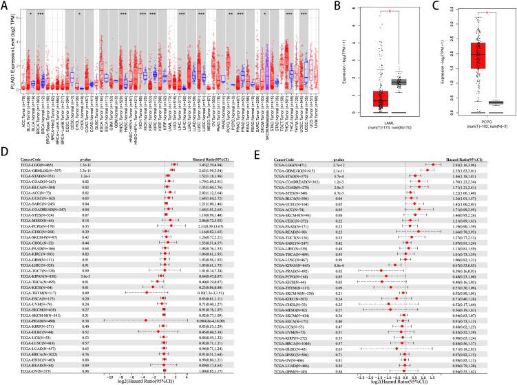 https://cdn.ncbi.nlm.nih.gov/pmc/blobs/1568/12018345/6a9e0d80dabb/fimmu-16-1572108-g002.jpg