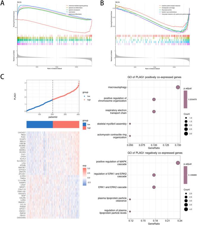 https://cdn.ncbi.nlm.nih.gov/pmc/blobs/1568/12018345/9d001498e114/fimmu-16-1572108-g009.jpg