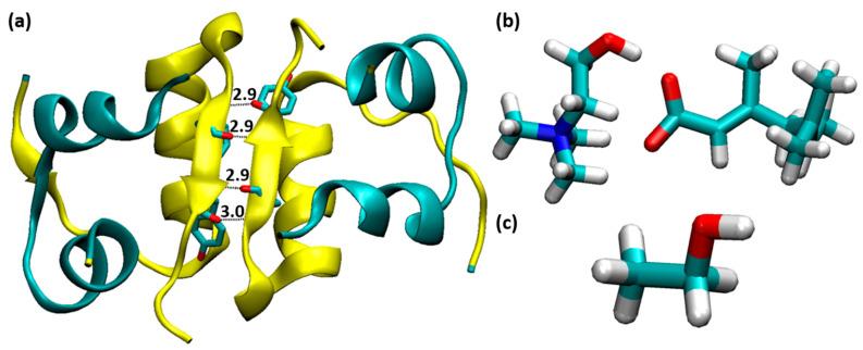https://cdn.ncbi.nlm.nih.gov/pmc/blobs/1568/9370287/784d84f69dd1/molecules-27-05031-g001.jpg