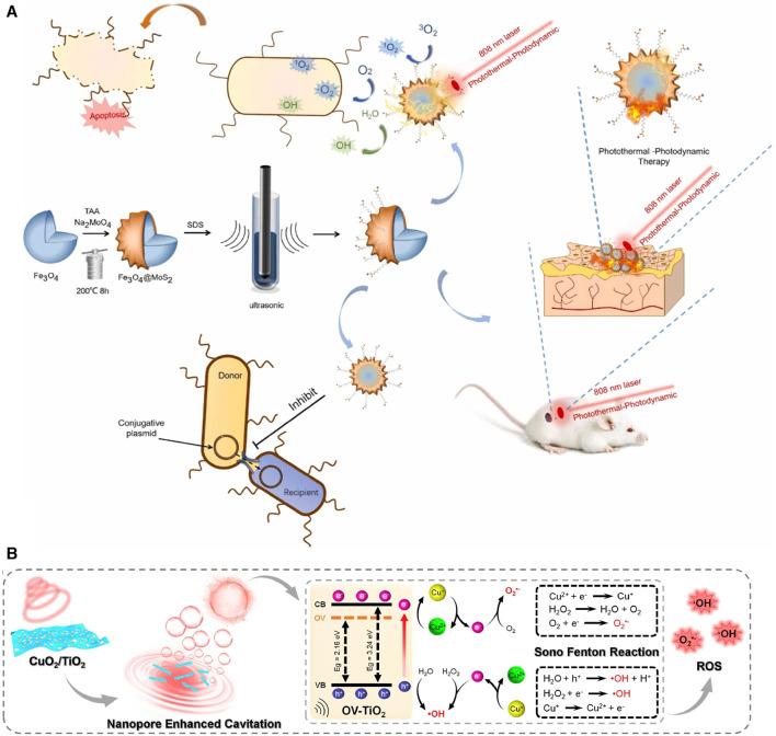 https://cdn.ncbi.nlm.nih.gov/pmc/blobs/156b/10655017/31ca826d35e3/fbioe-11-1283771-g006.jpg