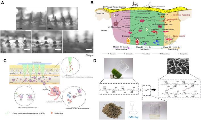 https://cdn.ncbi.nlm.nih.gov/pmc/blobs/156b/10655017/46b59ea38f4c/fbioe-11-1283771-g007.jpg