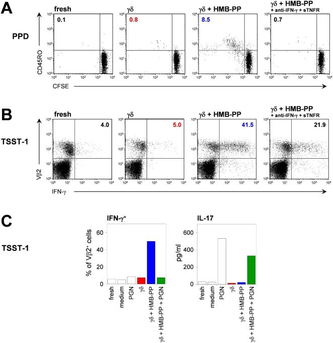 https://cdn.ncbi.nlm.nih.gov/pmc/blobs/156b/2637987/203531a51b5b/ppat.1000308.g007.jpg