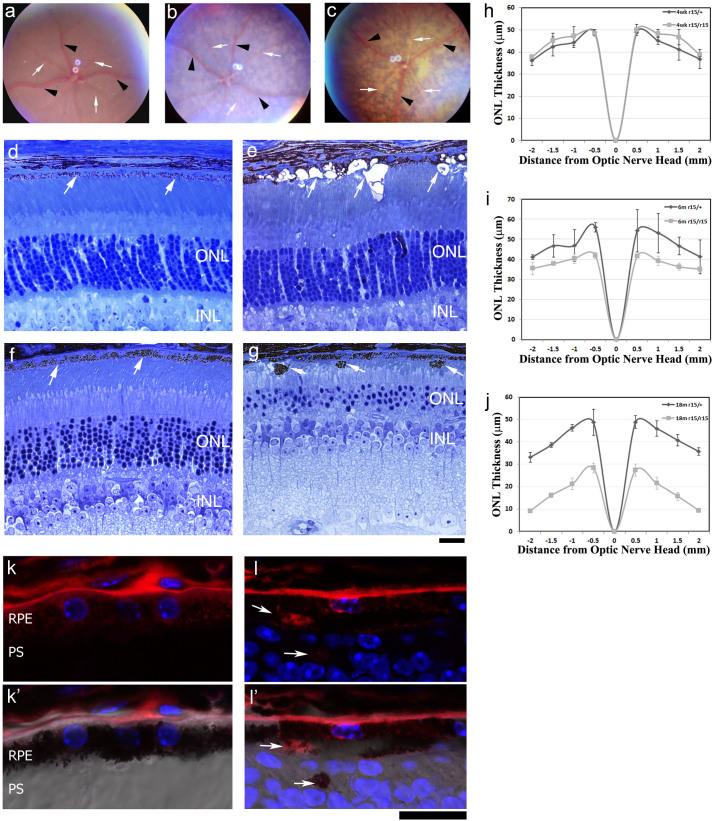 https://cdn.ncbi.nlm.nih.gov/pmc/blobs/156b/4366848/dac6a378dfef/srep09358-f1.jpg