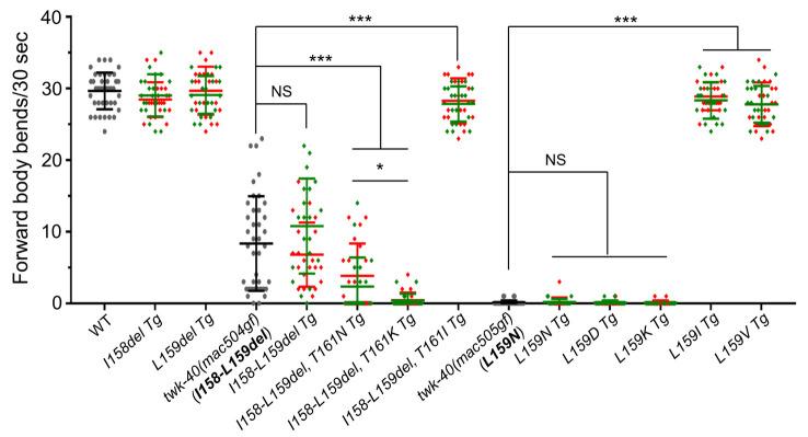 https://cdn.ncbi.nlm.nih.gov/pmc/blobs/156b/9049526/8504083af433/pgen.1010126.g005.jpg