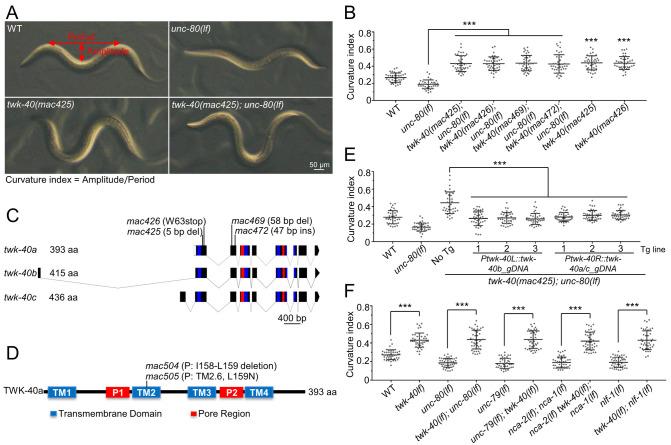 https://cdn.ncbi.nlm.nih.gov/pmc/blobs/156b/9049526/bb6af36d161b/pgen.1010126.g001.jpg