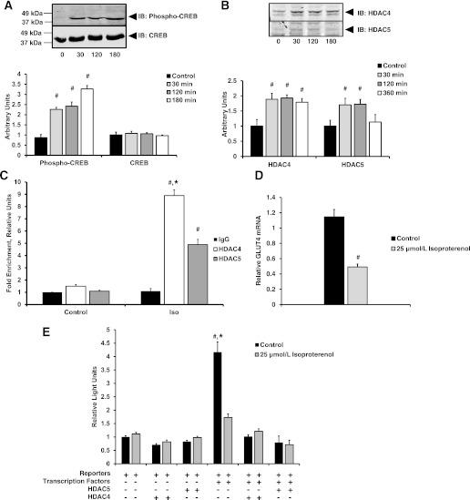https://cdn.ncbi.nlm.nih.gov/pmc/blobs/156c/3357296/9f7452b8dd06/1404fig3.jpg