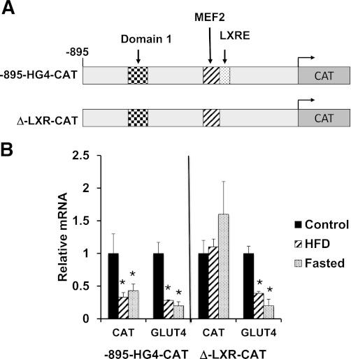 https://cdn.ncbi.nlm.nih.gov/pmc/blobs/156c/3357296/f3bae4d92128/1404fig7.jpg