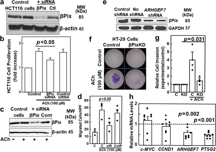 https://cdn.ncbi.nlm.nih.gov/pmc/blobs/1574/10560271/768413a696e8/41598_2023_44158_Fig5_HTML.jpg