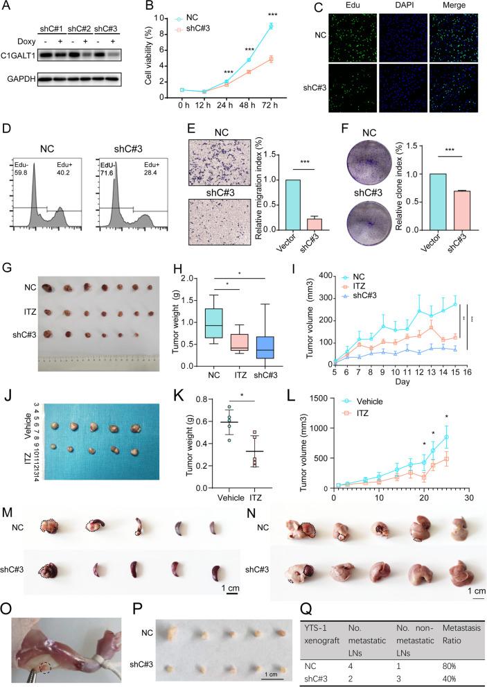 https://cdn.ncbi.nlm.nih.gov/pmc/blobs/1575/9306173/0203b30a9dd8/13046_2022_2438_Fig2_HTML.jpg