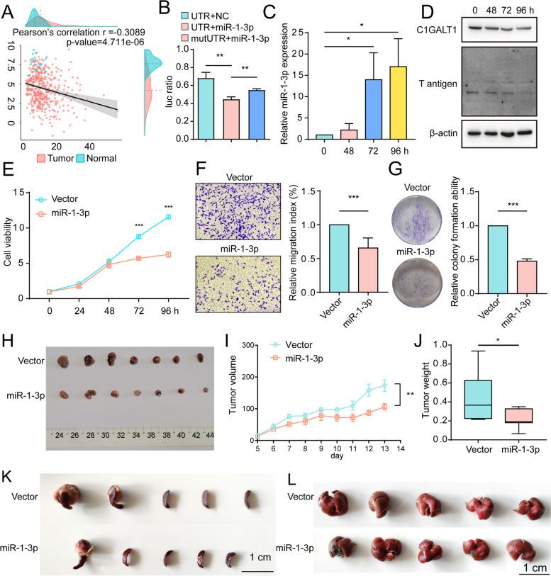 https://cdn.ncbi.nlm.nih.gov/pmc/blobs/1575/9306173/2c18ea7c352b/13046_2022_2438_Fig4_HTML.jpg