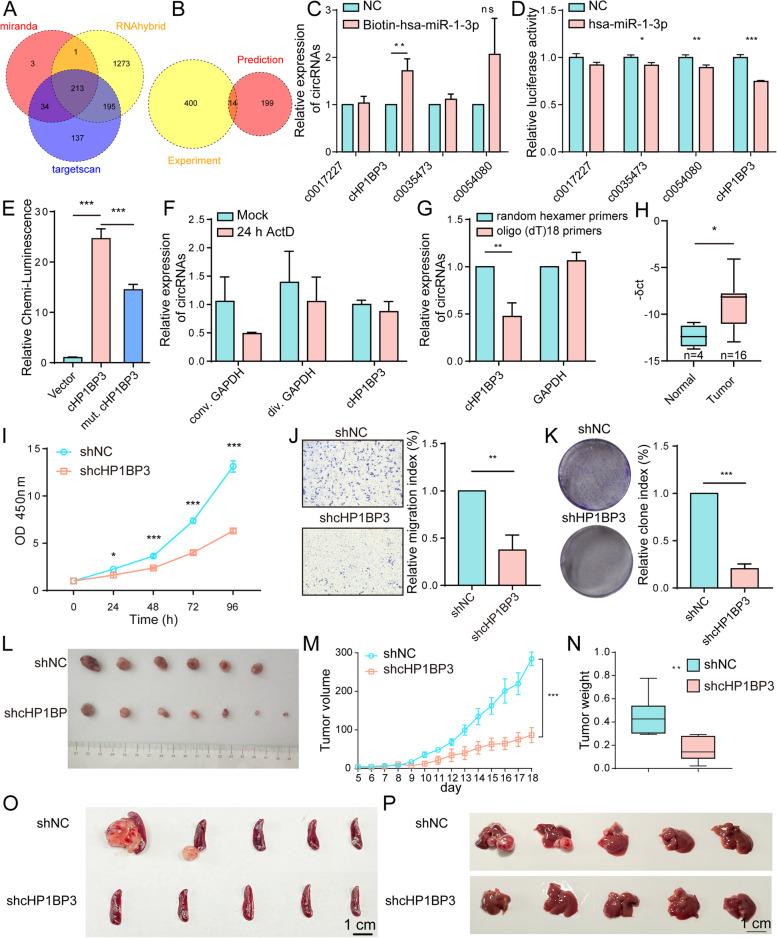 https://cdn.ncbi.nlm.nih.gov/pmc/blobs/1575/9306173/d25c48d7f0e2/13046_2022_2438_Fig6_HTML.jpg