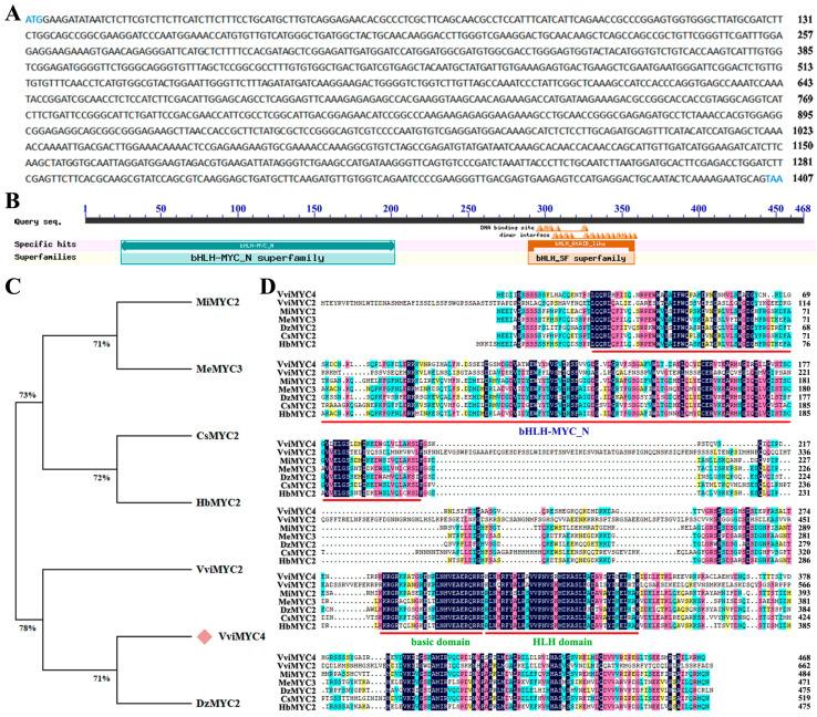 https://cdn.ncbi.nlm.nih.gov/pmc/blobs/1576/12115097/076014fbbd8e/plants-14-01409-g001.jpg