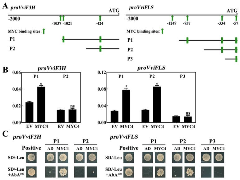 https://cdn.ncbi.nlm.nih.gov/pmc/blobs/1576/12115097/22ed3dbd5e98/plants-14-01409-g008.jpg