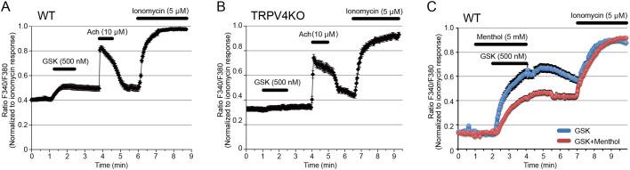https://cdn.ncbi.nlm.nih.gov/pmc/blobs/1577/11223765/530950371597/elife-92993-fig2.jpg