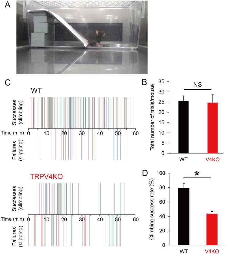 https://cdn.ncbi.nlm.nih.gov/pmc/blobs/1577/11223765/7ab27bec3e69/elife-92993-fig4.jpg