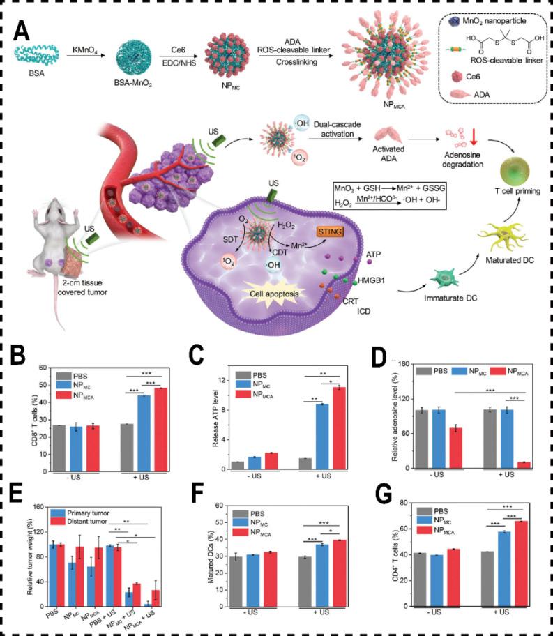 https://cdn.ncbi.nlm.nih.gov/pmc/blobs/1577/12036868/11e4154b9290/thnov15p5007g007.jpg
