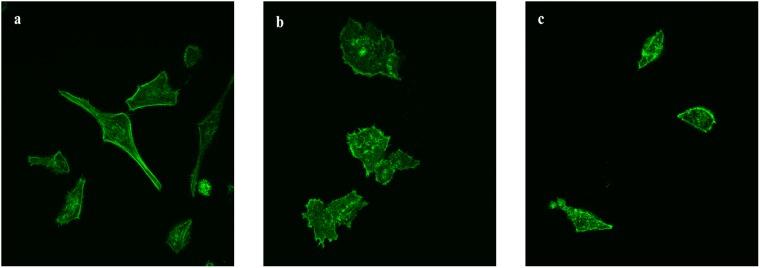 https://cdn.ncbi.nlm.nih.gov/pmc/blobs/157a/6415833/674755460c59/pone.0213626.g004.jpg