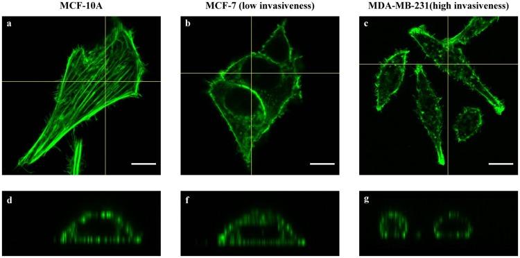 https://cdn.ncbi.nlm.nih.gov/pmc/blobs/157a/6415833/bdacca02c9fd/pone.0213626.g003.jpg