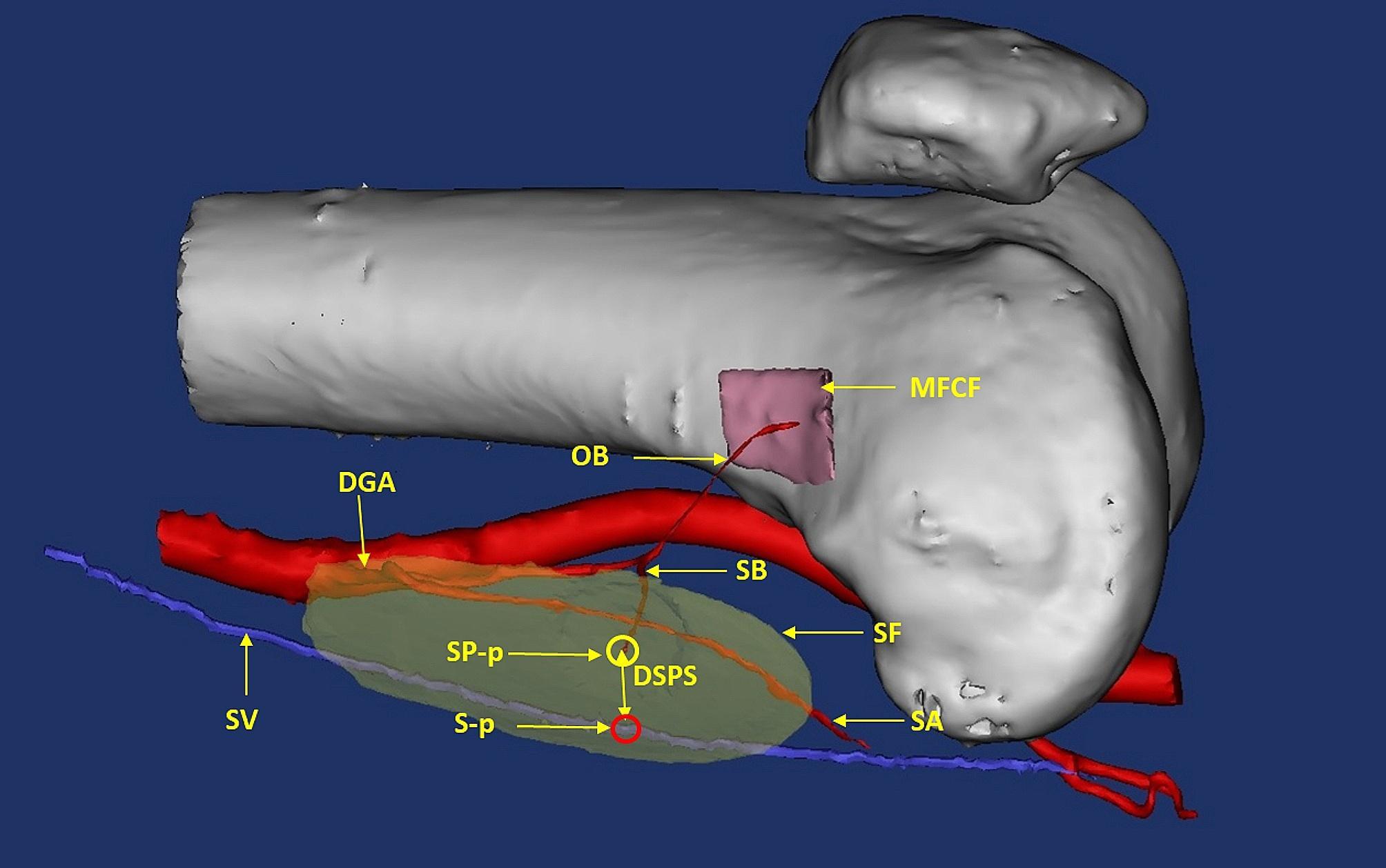 https://cdn.ncbi.nlm.nih.gov/pmc/blobs/157b/11179197/9fc9ecc896e3/12893_2024_2481_Fig2_HTML.jpg