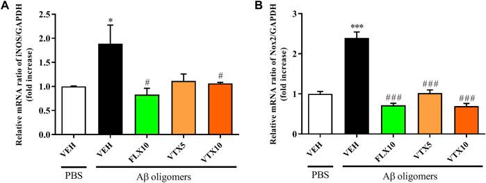 https://cdn.ncbi.nlm.nih.gov/pmc/blobs/157b/8740153/45717c27d7bc/fphar-12-809541-g001.jpg