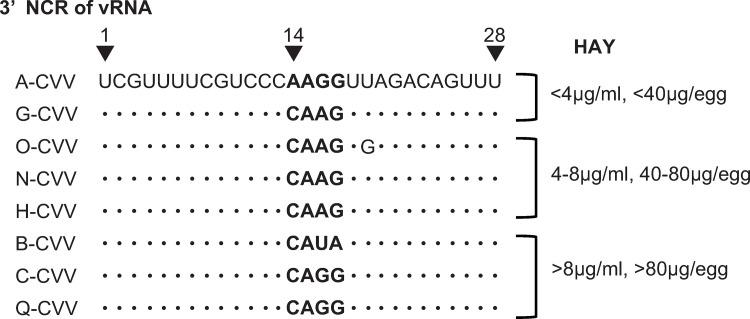 https://cdn.ncbi.nlm.nih.gov/pmc/blobs/157b/9858889/9f08d5baf1b0/pone.0280811.g003.jpg