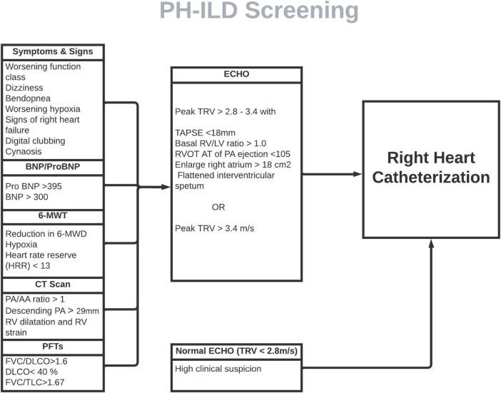 https://cdn.ncbi.nlm.nih.gov/pmc/blobs/157c/10827954/800541e15615/fmed-10-1306032-g002.jpg