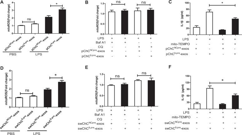 https://cdn.ncbi.nlm.nih.gov/pmc/blobs/157c/6614358/d4a9936284b2/41419_2019_1739_Fig4_HTML.jpg