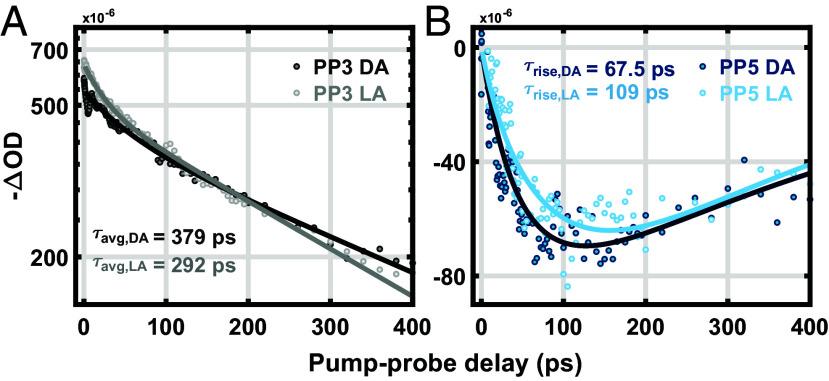 https://cdn.ncbi.nlm.nih.gov/pmc/blobs/157f/11494355/f342ddeccbc6/pnas.2411620121fig05.jpg