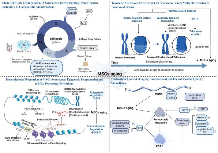 https://cdn.ncbi.nlm.nih.gov/pmc/blobs/1580/12318765/b4a2f22b86f8/fendo-16-1625806-g001.jpg
