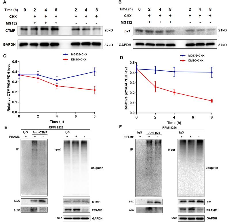 https://cdn.ncbi.nlm.nih.gov/pmc/blobs/1581/11283035/7990fc5b3735/gr5.jpg