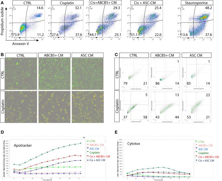 https://cdn.ncbi.nlm.nih.gov/pmc/blobs/1583/10808769/079a0fe58b59/fimmu-14-1228928-g002.jpg