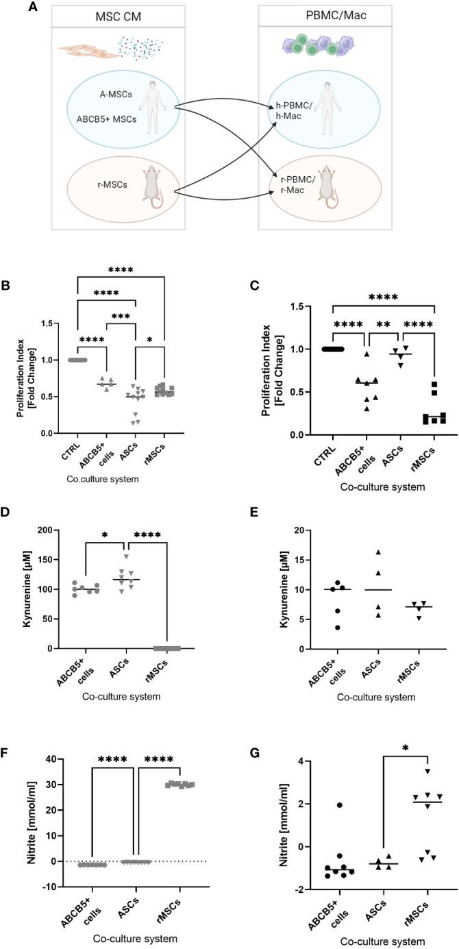 https://cdn.ncbi.nlm.nih.gov/pmc/blobs/1583/10808769/8d43ee2fd39c/fimmu-14-1228928-g004.jpg
