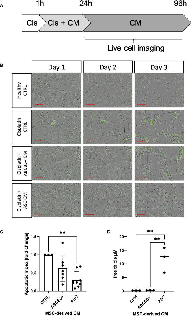 https://cdn.ncbi.nlm.nih.gov/pmc/blobs/1583/10808769/f7002b7fe2a1/fimmu-14-1228928-g001.jpg