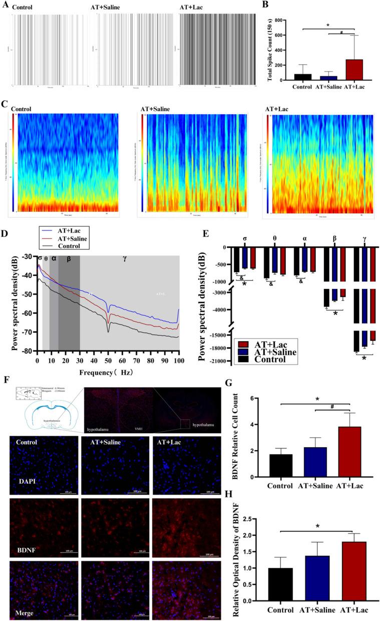 https://cdn.ncbi.nlm.nih.gov/pmc/blobs/1584/11653782/1e2f23e718c2/12944_2024_2397_Fig7_HTML.jpg