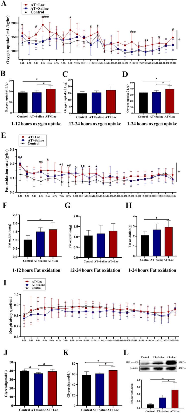 https://cdn.ncbi.nlm.nih.gov/pmc/blobs/1584/11653782/d669933b5985/12944_2024_2397_Fig6_HTML.jpg